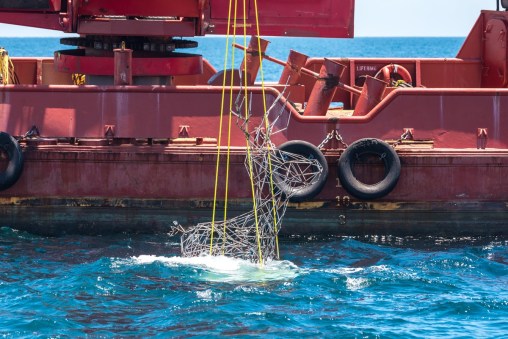 underwater-museum-of-art-2018-deployment-00122